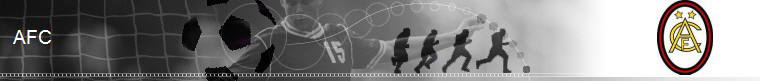 Georgia Soccer banner
